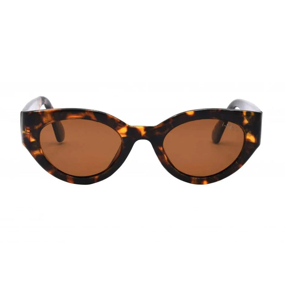 Ashbury Sky Sunglasses Havana TORT / BROWN – Ocean State of  display picture 1