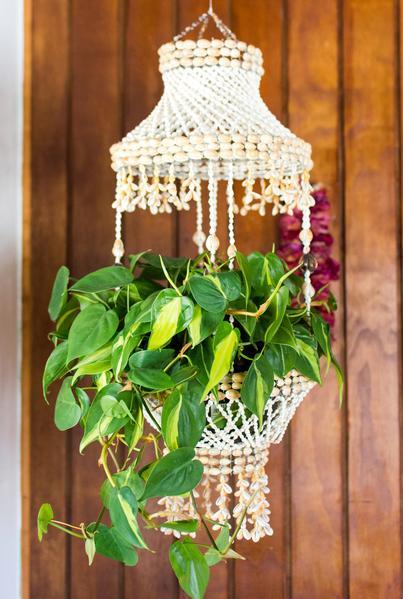 macrame shell plant hanger The Abigail Shell Plant Hanging