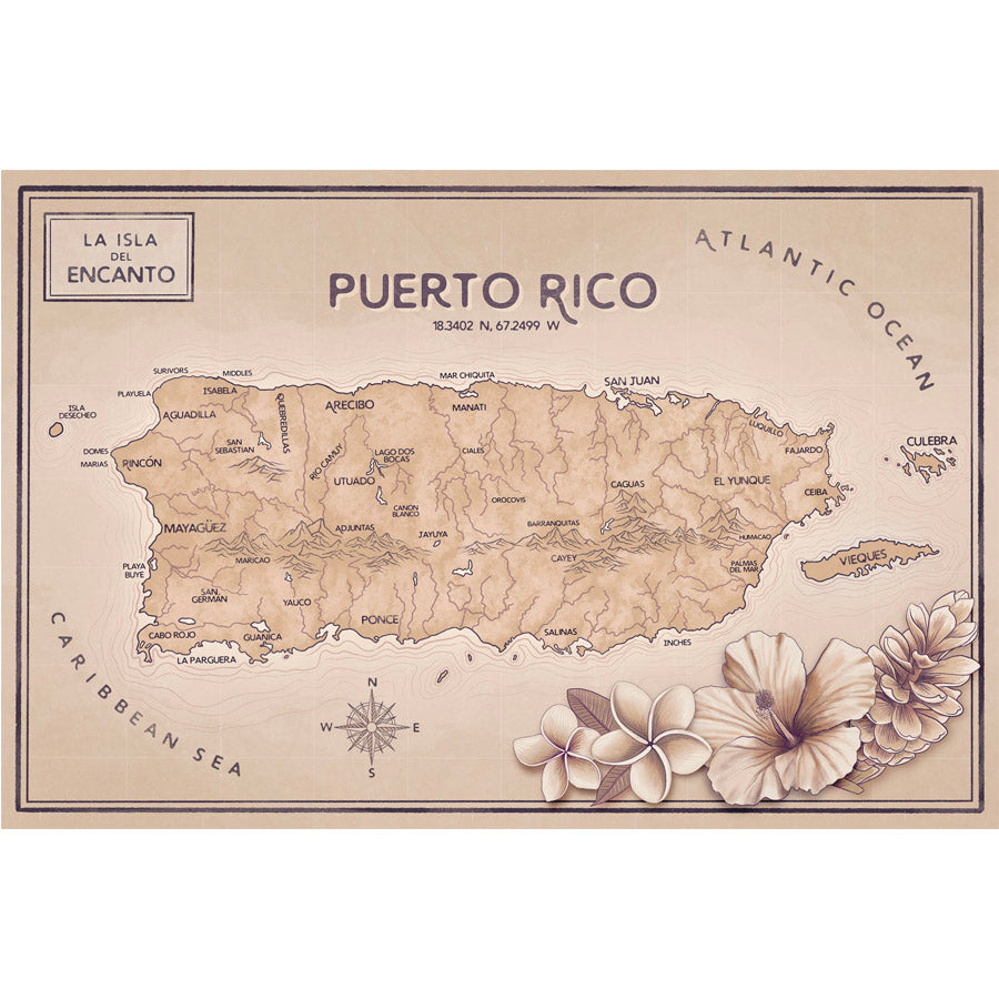 Puerto Rico Map Antique Pink