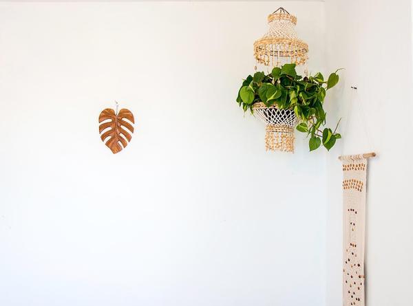 sea shell hanging planter The Abigail Shell Plant Hanging – Ocean State of Mind PR