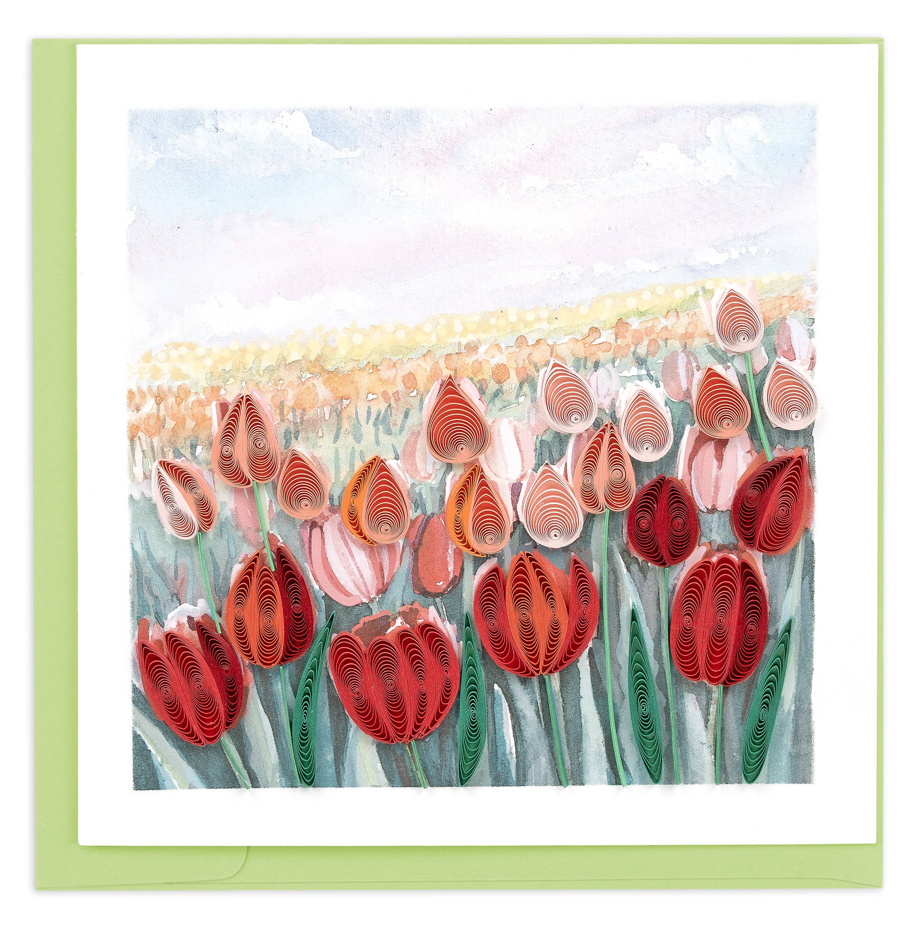 Tulip Field