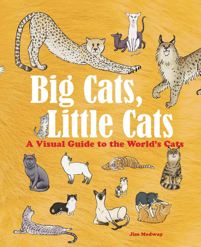 Big Cats, Little Cats- A Visual Guide to the World's Cats Book