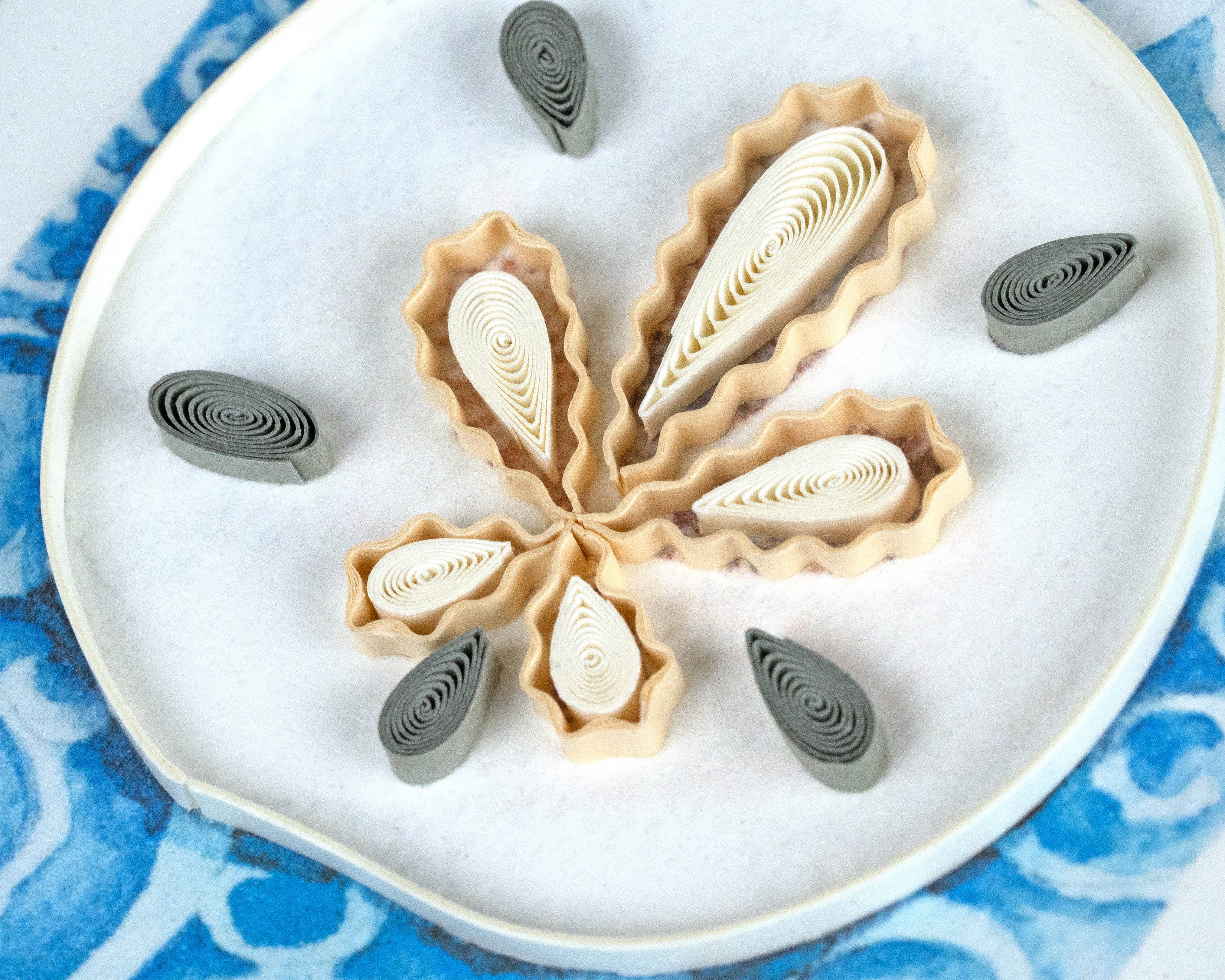 Sand Dollar Gift Enclosure Mini Card