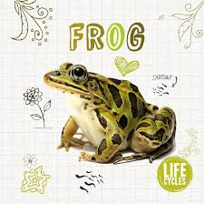 Frog book