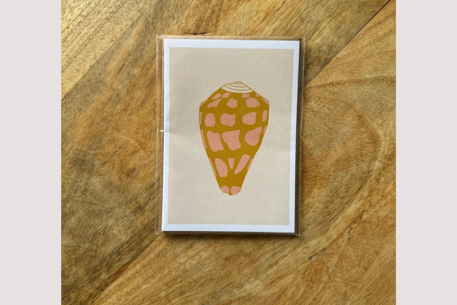 Hebrew Cone Shell Greeting Card