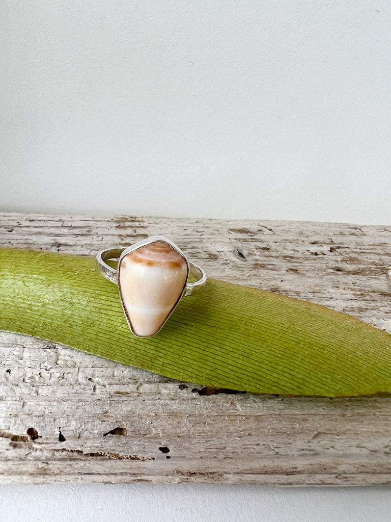 Cone Shell Ring