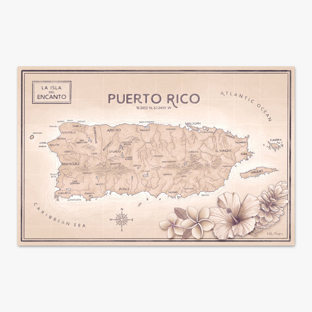 Puerto Rico Map Large - Antique Pink