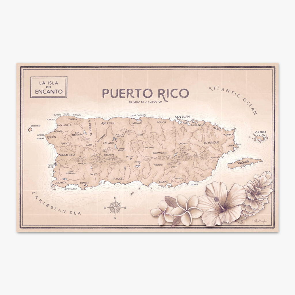 Pink Puerto Rico Map Puerto Rico Map Large - Antique Pink | Ocean State of Mind PR