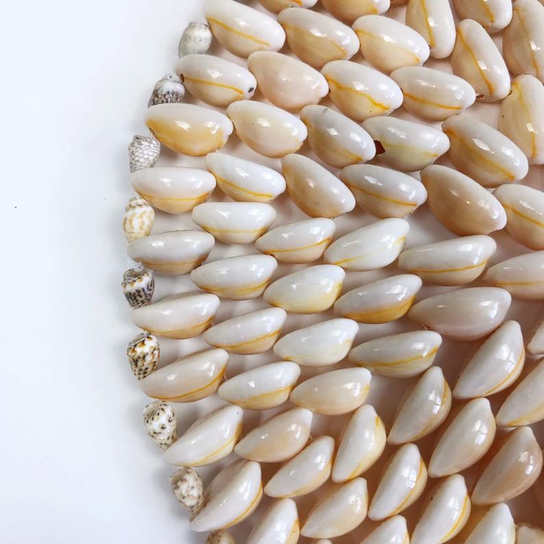 Cowrie Shell Trivet Large