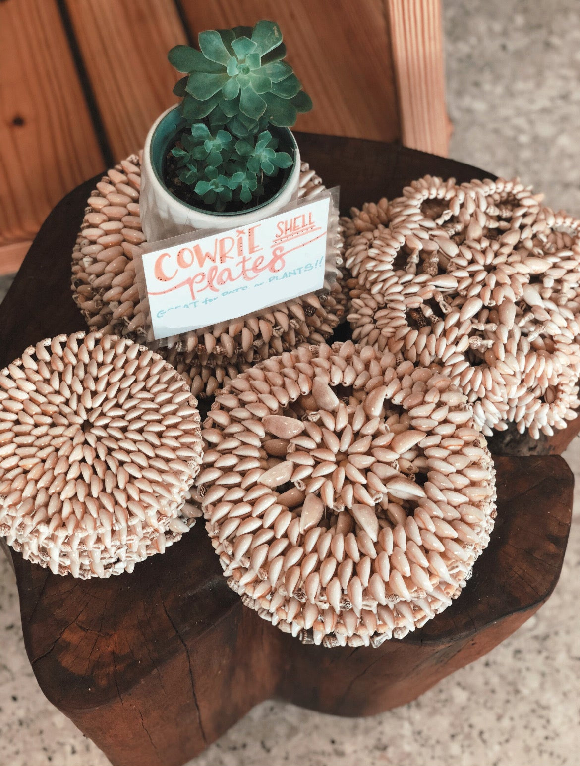 Cowrie Shell Trivet Small