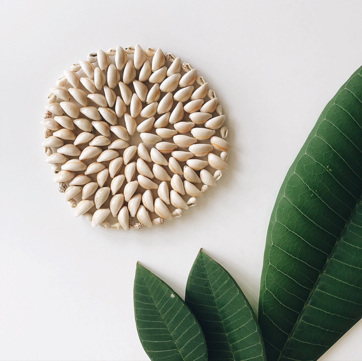 Cowrie Shell Trivet Small