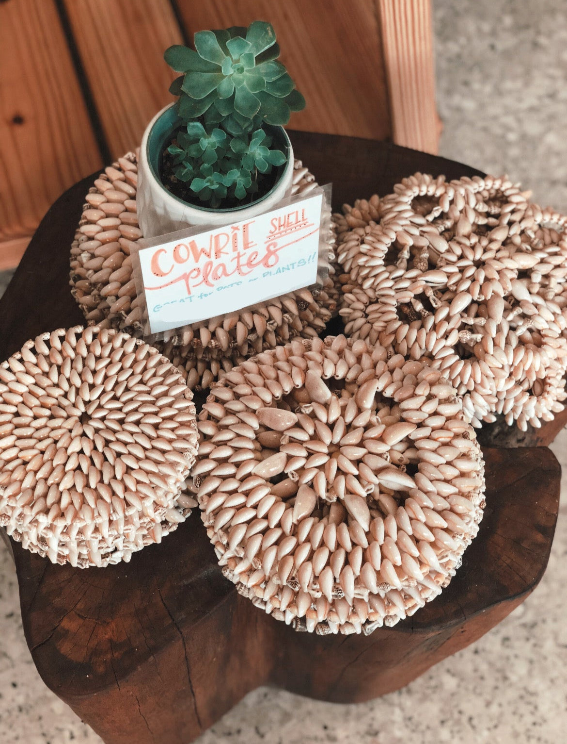 Flower Cowrie Shell Trivet