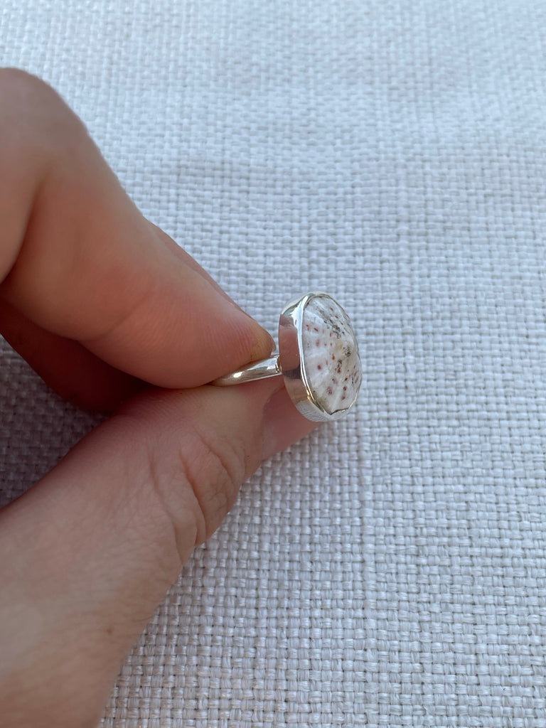 Limpet Shell Ring Size 9